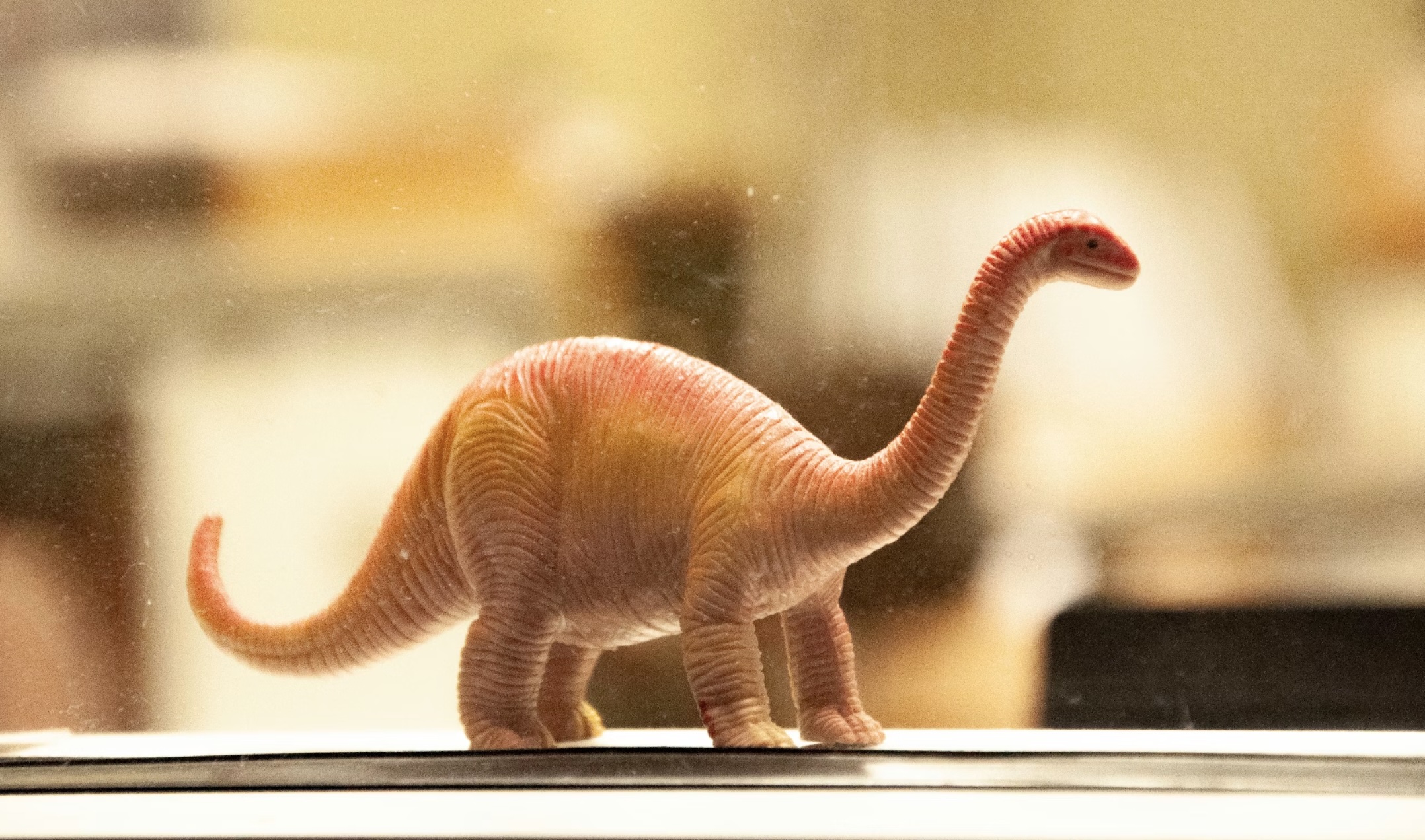 Cover image for The dinosaur and the moon